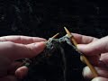 Purl Stitch, American and Continental Way