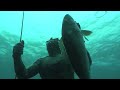 Daryl Wong Spearguns