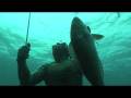 Daryl Wong Spearguns
