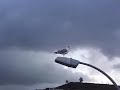 Temporal en el Cant�brico - Storm in the Bay of Biscay