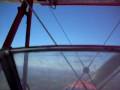 YEE HAH.. love the TIGER MOTH YEE HAH.. love the TIGER MOTH