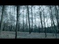 Courrier Paper Ghost Official Music Video and Lyrics