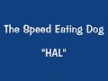 hal