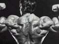 Mr-Olympia-2010