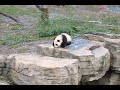 Tai Shan\