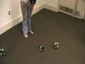 videos de proj775 130.MOD
