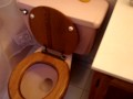 Urine for Garden, Composting Urine