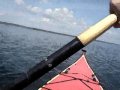 Kayakingwithdafishies
