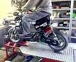 RsB testbank Patanegra