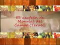 El azafran de Monreal del Campo (Teruel)