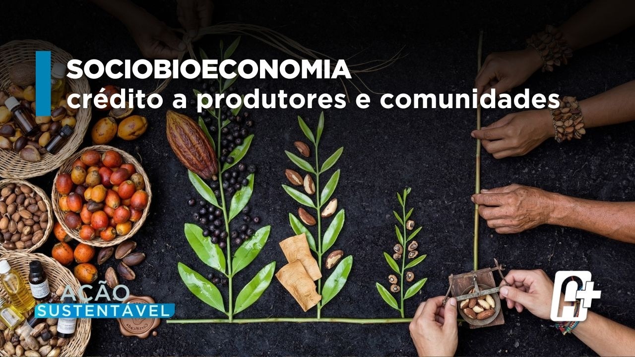Sociobioeconomia: Propostas para o Plano Safra com Fabíola Zerbini (Conexsus) | Ação Sustentável