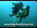 Scuba Diving in Bali for Physically Handicapped and Disabled Scuba Diving in Bali for Physically Handicapped and Disabled