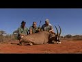 Plainsgame Hunting South Africa