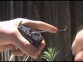 Lock Picking 22 - Master No.5 Rustoleum