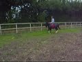 Nebo Stripe jumping