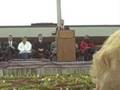 videos de Veteran's Day Ceremony