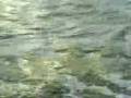 videos de las bici-bote