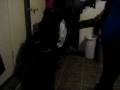 videos de KeKe Dancing