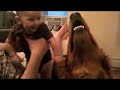 Marlowe and Lola
