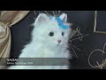 Dancing with the Stars MELISSA JOAN HART Farewell- DWTS Season 9 Mark Ballas