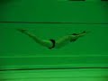 training dolphin kicks with monofin - Aarhus 10/07 #2
