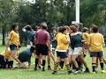 Try de Zappi