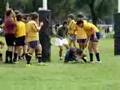 Try de Zappi
