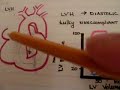 Cardiac Pathophysiology part 2