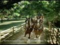 Super Bowl Superbowl XXXVIII - Budweiser Clydesdales Donkey Commercial