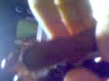 MOV00004