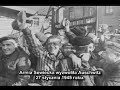 The Spirit Of The Survivor - By Sean Foer ( Polish Subtitle)