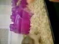 Hamsters at Petco