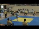 Palarong Pambansa 2008 Taekwondo (Poomsae)