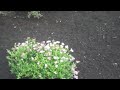 Professional Walksways with Chris Orser Landscaping