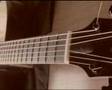Stefano Florio features Experia Acoustic Cutaway