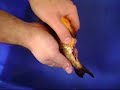 Koi Spawning