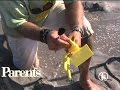 Prep a Sand Kingdom