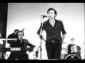 suede - beutiful ones