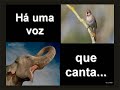 Tente Outra Vez Tente Outra Vez
