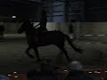 Christmas Show 06
