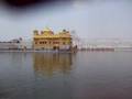 The Golden Temple - Amritsar ((Punjab) - India
