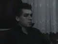 Vampirler Vampirler
