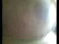 videos de EDGARDO(TETON) PINGUE DE PEA 2