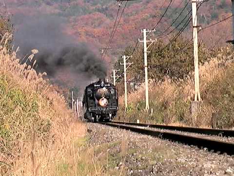 C58363　パレオエクスプレス　秩父鉄道　（黒谷-大野原）