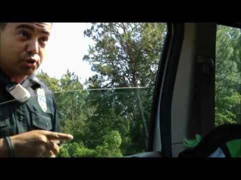 Speed Trap Crasher