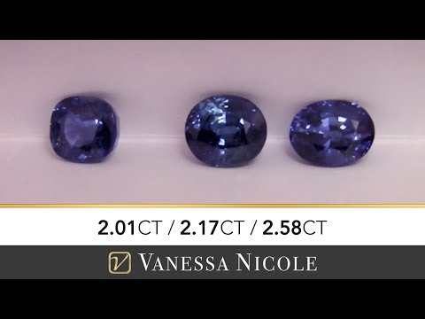 vanessa blue