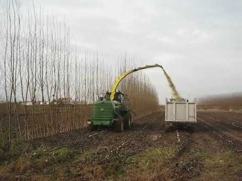 how to harvest biomass