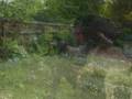 Diesels Life.wmv