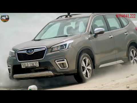 Lái thử Subaru Forester tại Phan Thiết - Tiền trạm Chinh phục đồi cát Bàu Trắng