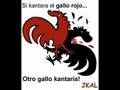 Gallo rojo
